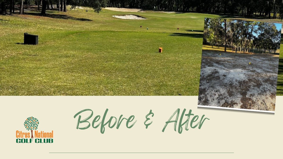 Before & After – Tee Box #4